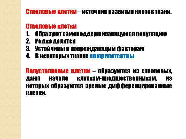 Стволовые клетки – источник развития клеток ткани. Стволовые клетки 1. Образуют самоподдерживающуюся популяцию 2.