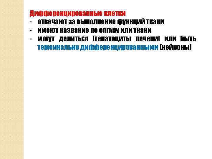 Дифференцированные клетки - отвечают за выполнение функций ткани - имеют название по органу или