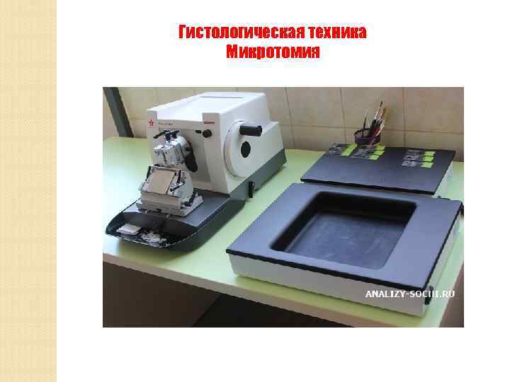 Гистологическая техника Микротомия 