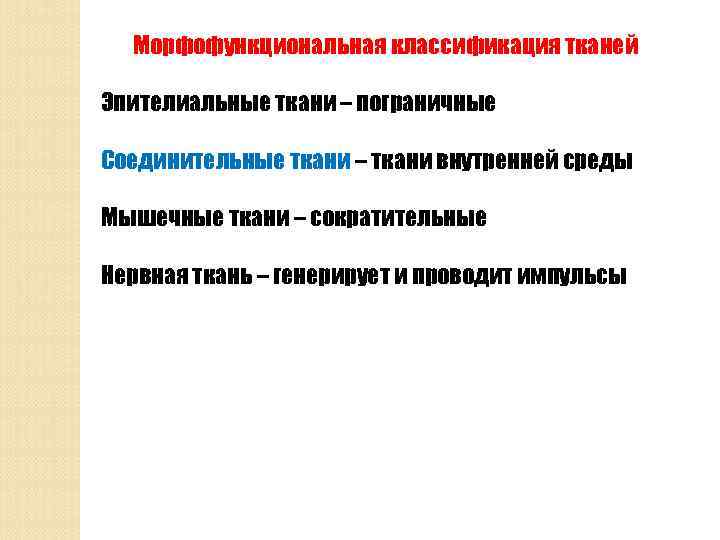 Морфофункциональная классификация тканей Эпителиальные ткани – пограничные Соединительные ткани – ткани внутренней среды Мышечные
