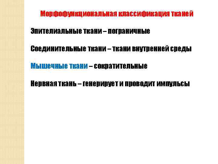 Морфофункциональная классификация тканей Эпителиальные ткани – пограничные Соединительные ткани – ткани внутренней среды Мышечные
