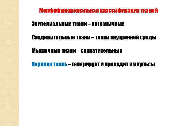 Морфофункциональная классификация тканей Эпителиальные ткани – пограничные Соединительные ткани – ткани внутренней среды Мышечные
