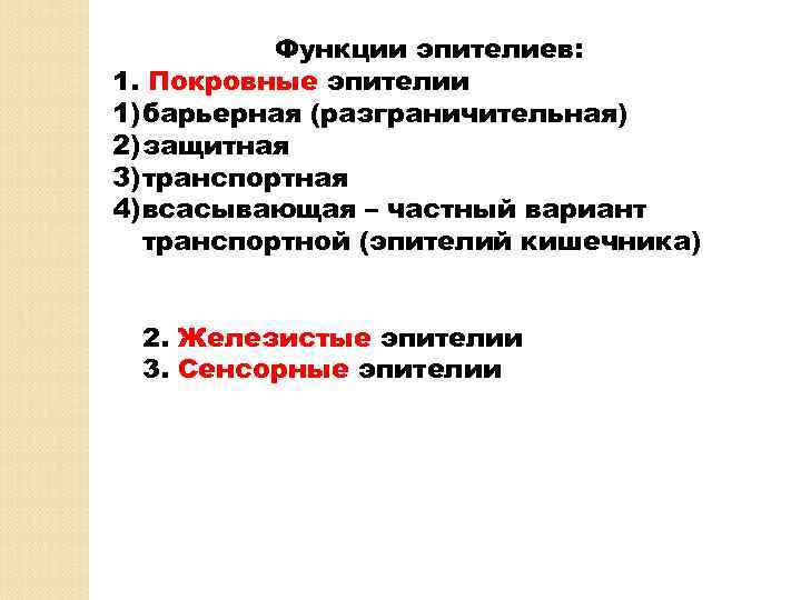Функции эпителиев: 1. Покровные эпителии 1) барьерная (разграничительная) 2) защитная 3) транспортная 4) всасывающая