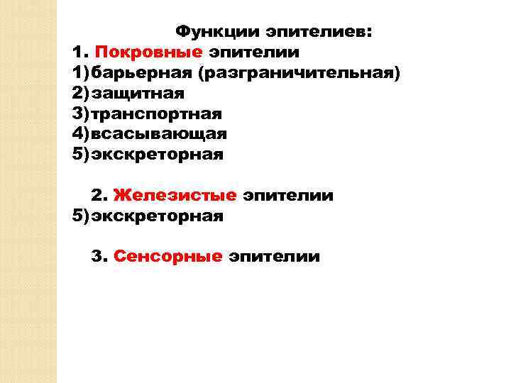 Функции эпителиев: 1. Покровные эпителии 1) барьерная (разграничительная) 2) защитная 3) транспортная 4) всасывающая