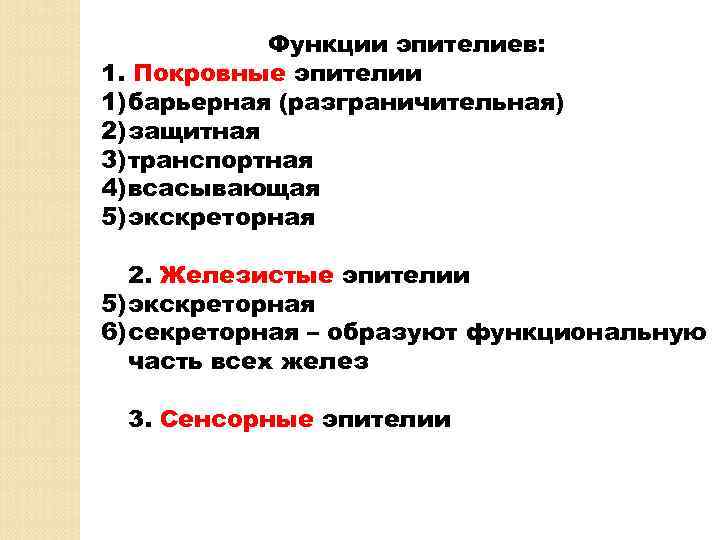 Функции эпителиев: 1. Покровные эпителии 1) барьерная (разграничительная) 2) защитная 3) транспортная 4) всасывающая