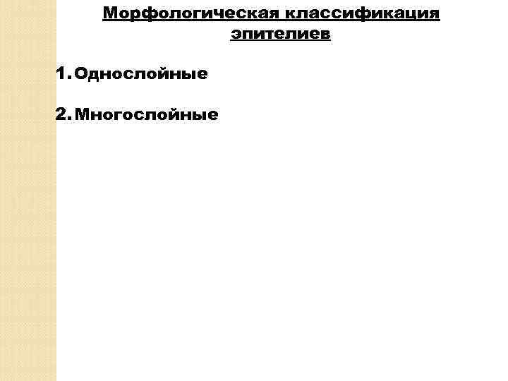 Морфологическая классификация эпителиев 1. Однослойные 2. Многослойные 