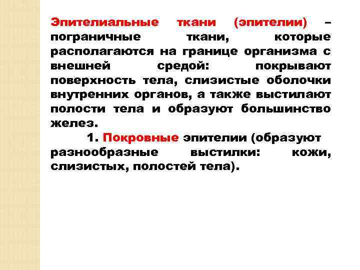 Эпителиальные ткани (эпителии) – пограничные ткани, которые располагаются на границе организма с внешней средой: