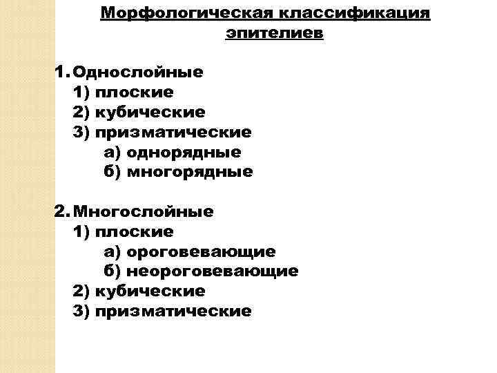 Морфологическая классификация эпителиев 1. Однослойные 1) плоские 2) кубические 3) призматические а) однорядные б)