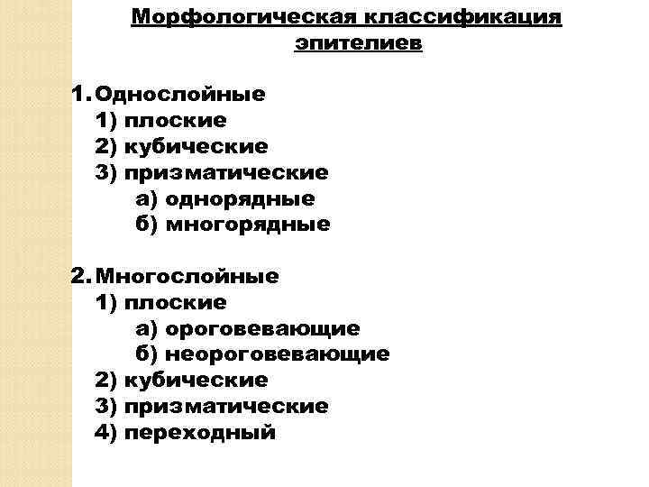 Морфологическая классификация эпителиев 1. Однослойные 1) плоские 2) кубические 3) призматические а) однорядные б)