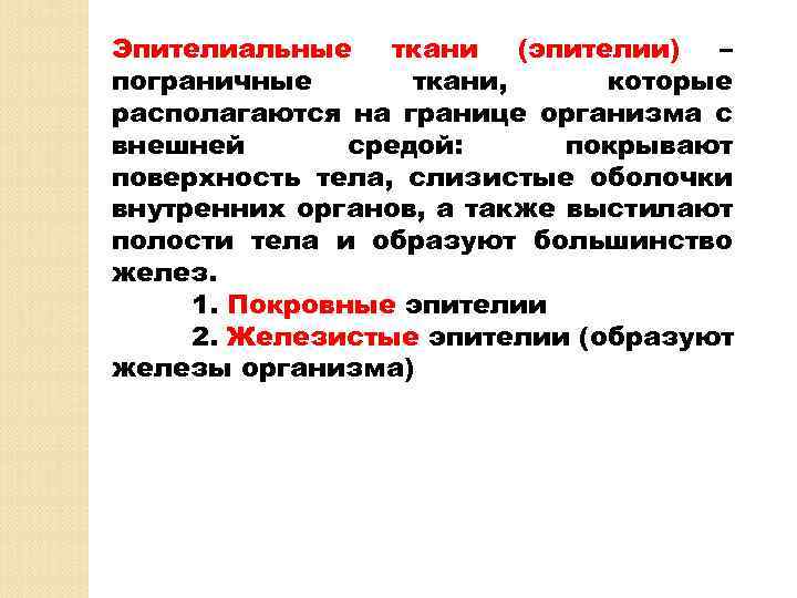 Эпителиальные ткани (эпителии) – пограничные ткани, которые располагаются на границе организма с внешней средой:
