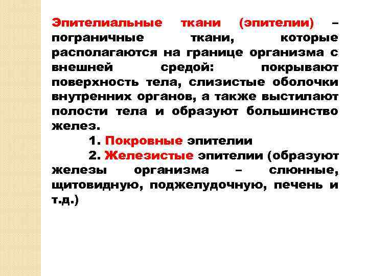 Эпителиальные ткани (эпителии) – пограничные ткани, которые располагаются на границе организма с внешней средой: