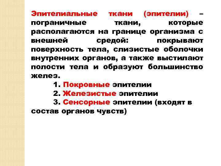Эпителиальные ткани (эпителии) – пограничные ткани, которые располагаются на границе организма с внешней средой:
