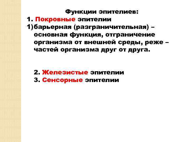 Функции эпителиев: 1. Покровные эпителии 1) барьерная (разграничительная) – основная функция, отграничение организма от