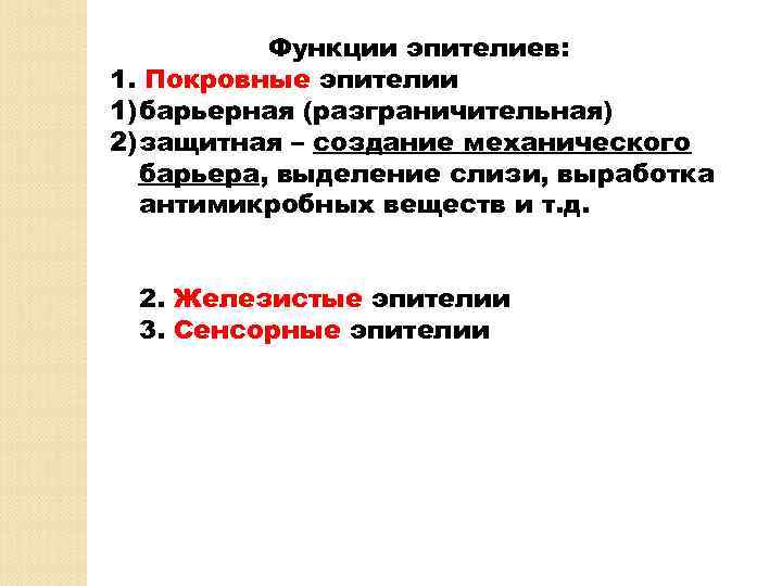 Функции эпителиев: 1. Покровные эпителии 1) барьерная (разграничительная) 2) защитная – создание механического барьера,