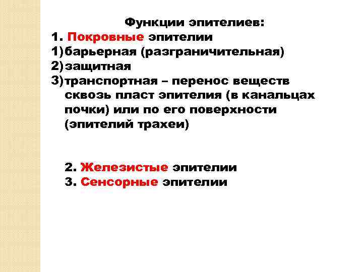 Функции эпителиев: 1. Покровные эпителии 1) барьерная (разграничительная) 2) защитная 3) транспортная – перенос