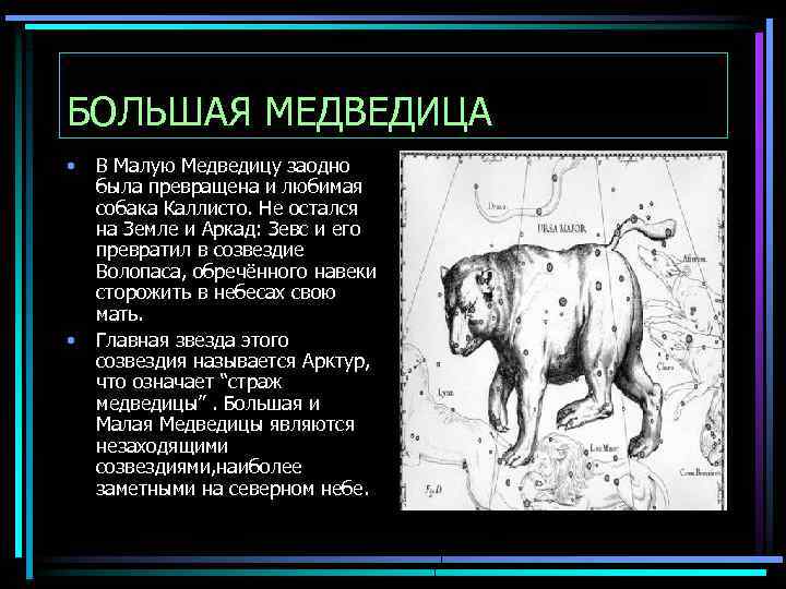 БОЛЬШАЯ МЕДВЕДИЦА • • В Малую Медведицу заодно была превращена и любимая собака Каллисто.