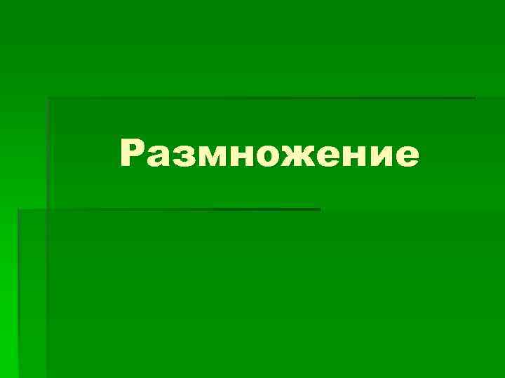  Кольчатые черви раздельнополы, у некоторых (дождевых червей,  пиявок) вторично развился гермафродитизм. Оплодотворение