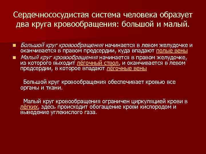 Сердечнососудистая система человека образует два круга кровообращения: большой и малый. n Большой круг кровообращения