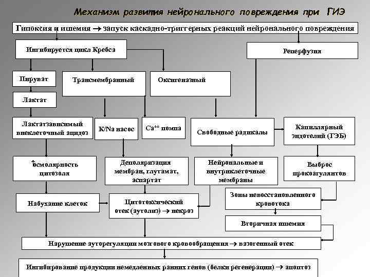 Механизм развития нейронального повреждения при ГИЭ Гипоксия и ишемия запуск каскадно-триггерных реакций нейронального повреждения