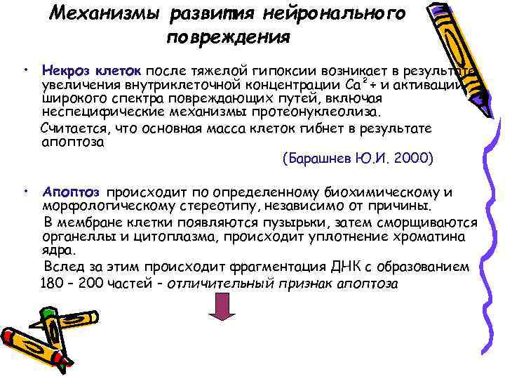 Механизмы развития нейронального повреждения • Некроз клеток после тяжелой гипоксии возникает в результате увеличения