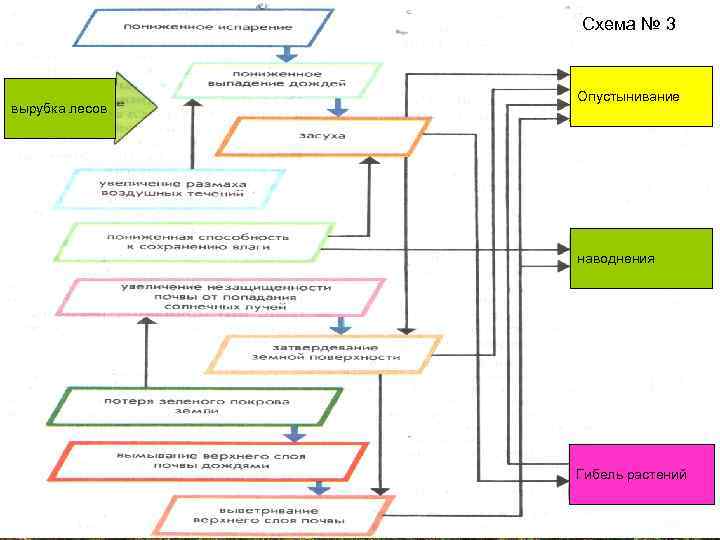 Схема № 3 вырубка лесов Опустынивание наводнения Гибель растений 