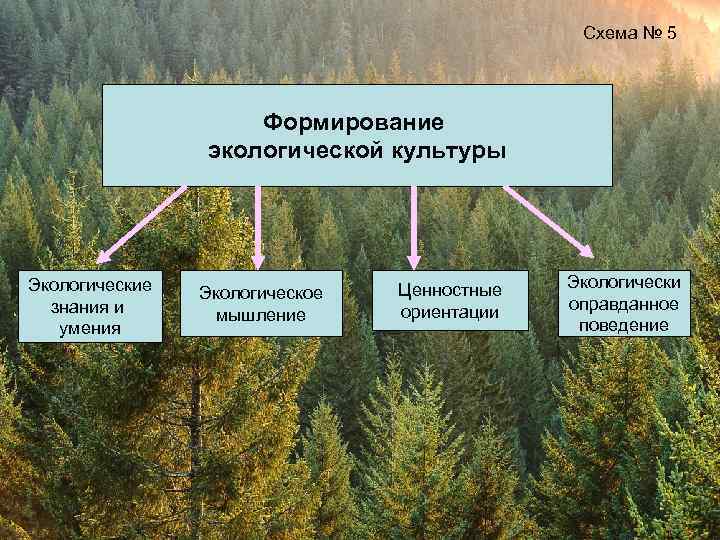 Схема № 5 Формирование экологической культуры Экологические знания и умения Экологическое мышление Ценностные ориентации
