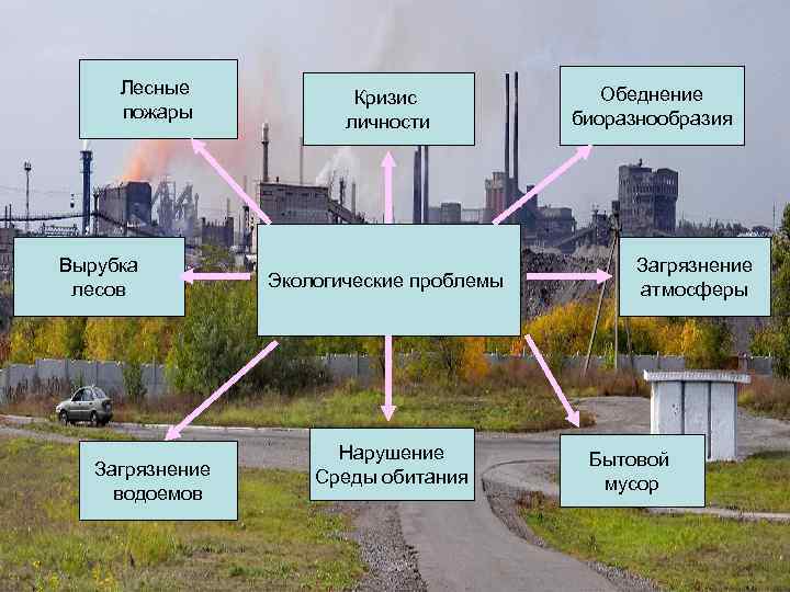 Проект экологическая проблема лесные пожары