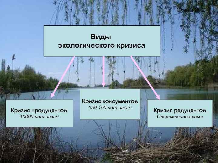 Кризис консументов. Виды экологических кризисов. Экологический кризис продуцентов. Последствия кризиса консументов. Кризис консументов продуцентов редуцентов.