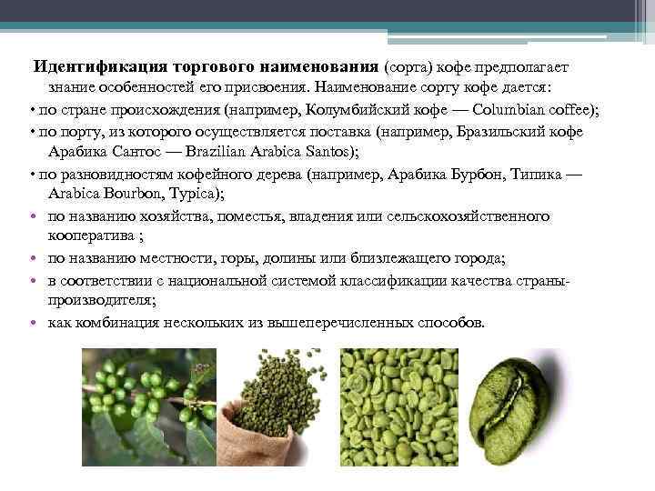 Идентификация торгового наименования (сорта) кофе предполагает знание особенностей его присвоения. Наименование сорту кофе дается: