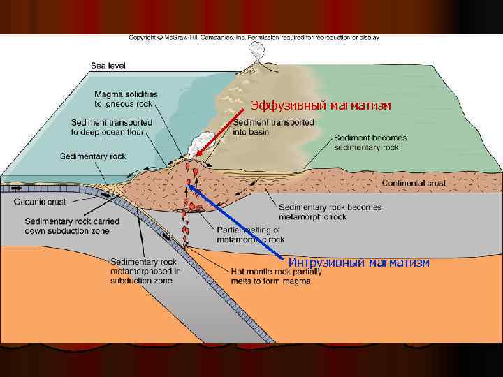 Эффузивный магматизм Интрузивный магматизм 
