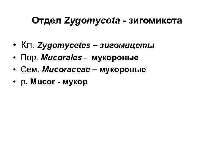Отдел Zygomycota - зигомикота • Кл. Zygomycetes – зигомицеты • Пор. Mucorales - мукоровые