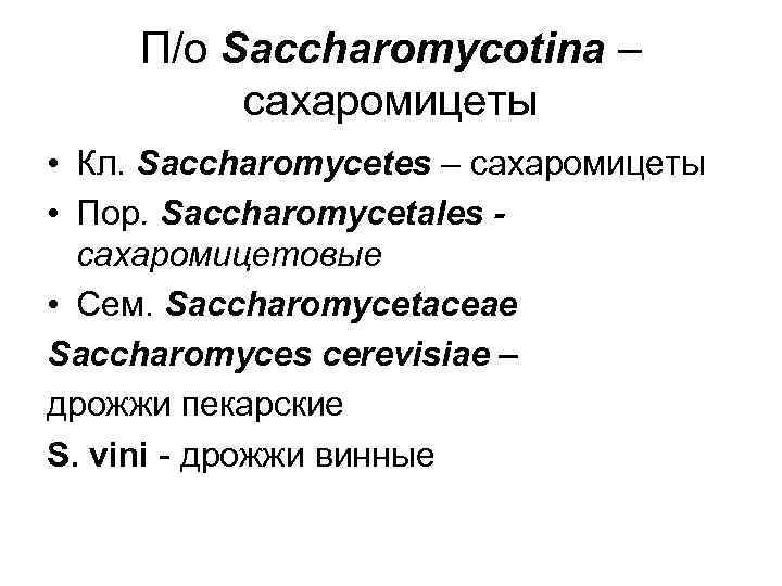 П/о Saccharomycotina – сахаромицеты • Кл. Saccharomycetes – сахаромицеты • Пор. Saccharomycetales сахаромицетовые •