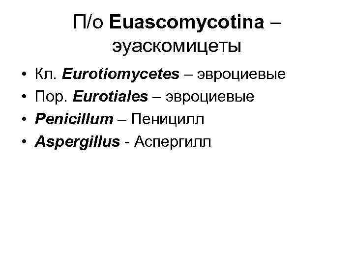 П/о Euascomycotina – эуаскомицеты • • Кл. Eurotiomycetes – эвроциевые Пор. Eurotiаles – эвроциевые