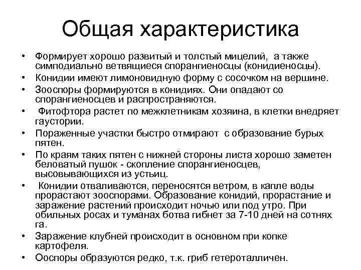 Общая характеристика • Формирует хорошо развитый и толстый мицелий, а также симподиально ветвящиеся спорангиеносцы