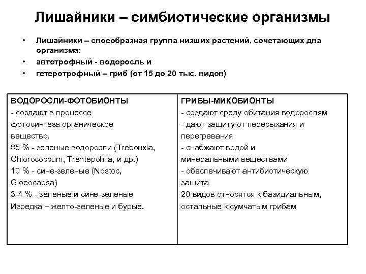 Лишайники – симбиотические организмы • • • Лишайники – своеобразная группа низших растений, сочетающих