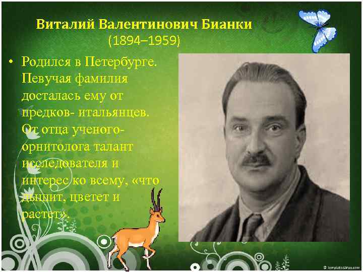 Виталий Валентинович Бианки (1894– 1959) • Родился в Петербурге. Певучая фамилия досталась ему от