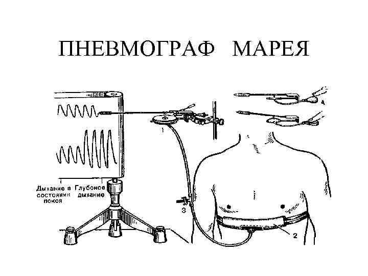 ПНЕВМОГРАФ МАРЕЯ 