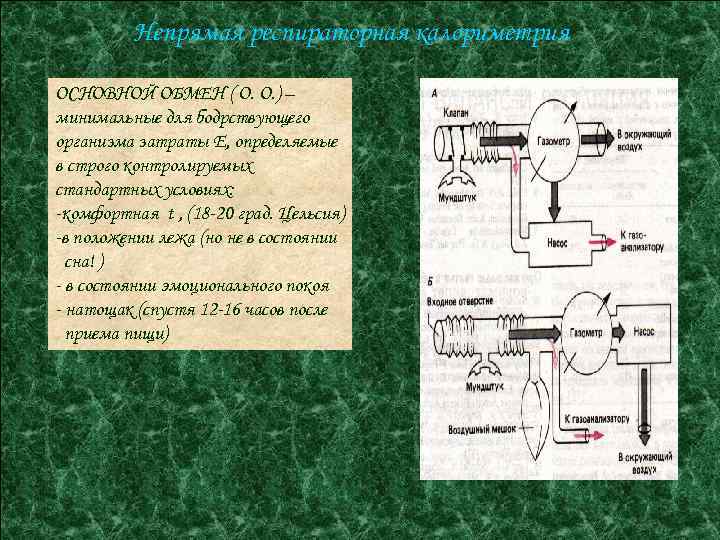 Непрямая респираторная калориметрия ОСНОВНОЙ ОБМЕН ( О. О. ) – минимальные для бодрствующего организма