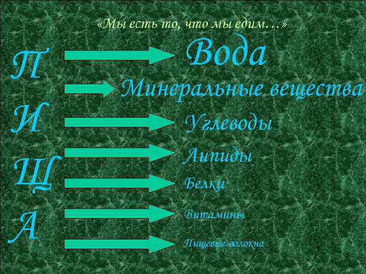  «Мы есть то, что мы едим…» П И Щ А Вода Минеральные вещества