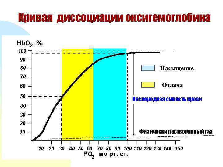Кривая диссоциации оксигемоглобина Насыщение Отдача Кислородная емкость крови Физически растворенный газ 