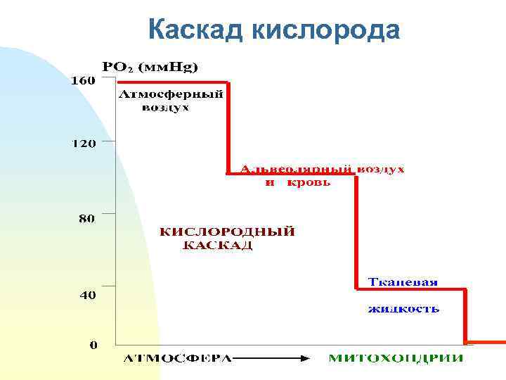 Каскад кислорода 