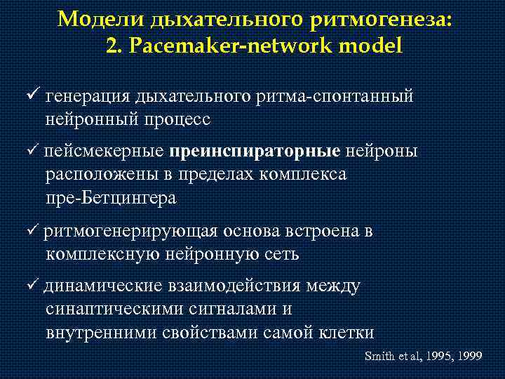 Модели дыхательного ритмогенеза: 2. Pacemaker-network model ü генерация дыхательного ритма-спонтанный нейронный процесс ü пейсмекерные