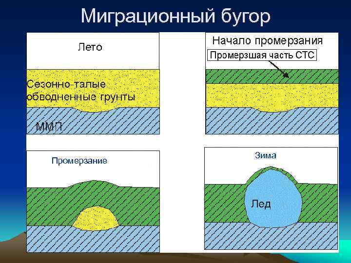 Миграционный бугор Промерзание Зима 
