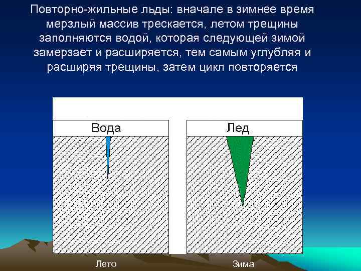 Повторно-жильные льды: вначале в зимнее время мерзлый массив трескается, летом трещины заполняются водой, которая