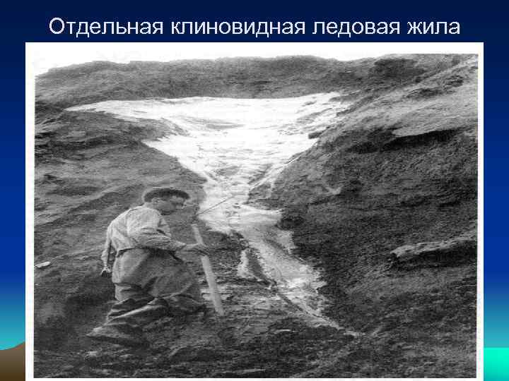 Отдельная клиновидная ледовая жила 