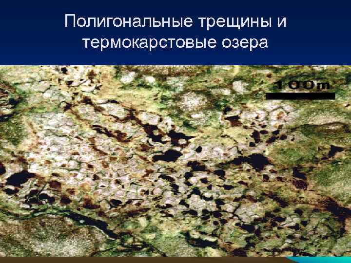 Полигональные трещины и термокарстовые озера 