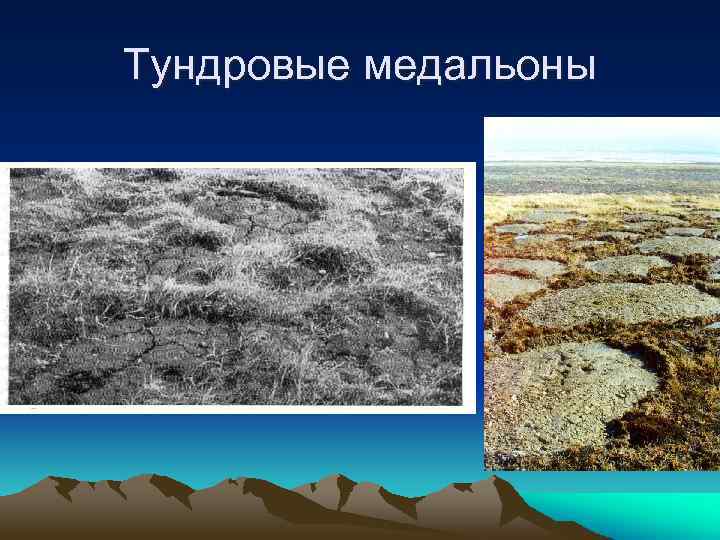 Тундровые медальоны 