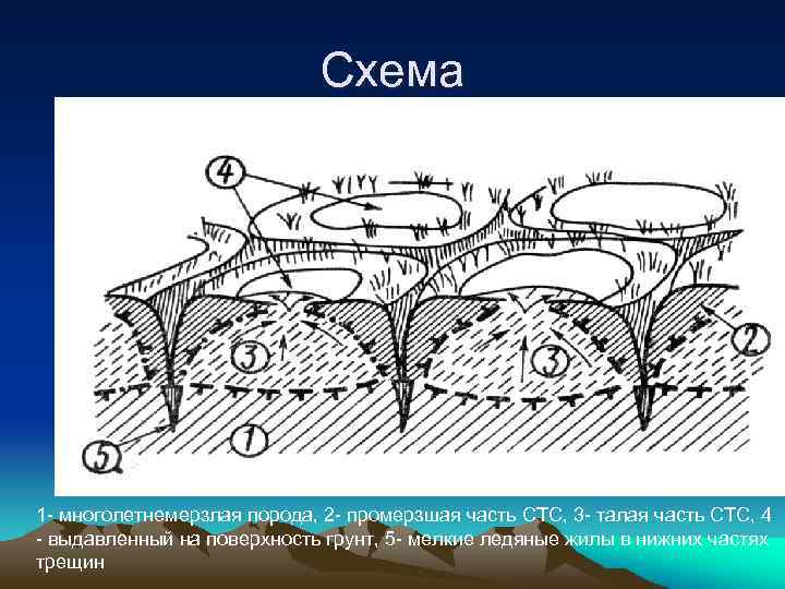 Схема 1 - многолетнемерзлая порода, 2 - промерзшая часть СТС, 3 - талая часть