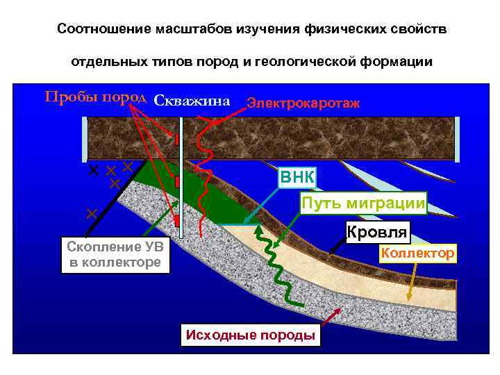 Соотношение масштабов изучения физических свойств отдельных типов пород и геологической формации Пробы пород Скважина