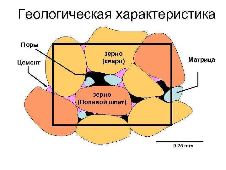 Геологическая характеристика Поры Цемент зерно (кварц) Матрица зерно (Полевой шпат) 0. 25 mm 